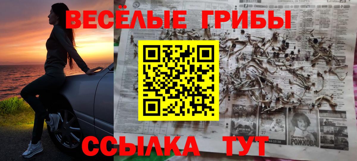 Псилоцибиновые грибы Cubensis Алексин